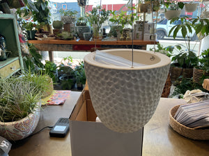 Angus & Celeste Embossed hanging planter